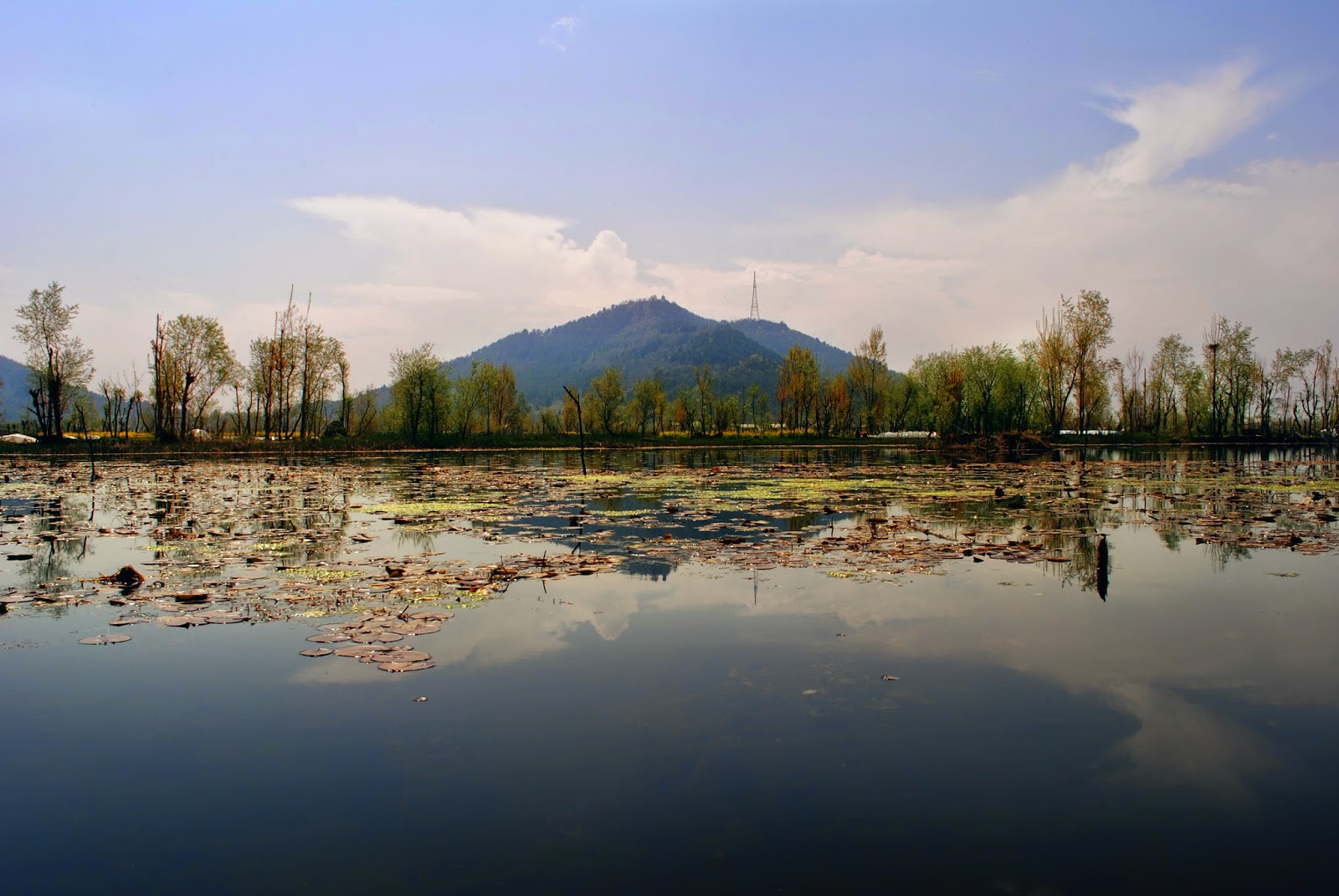 Best Honeymoon Destination in Kashmir